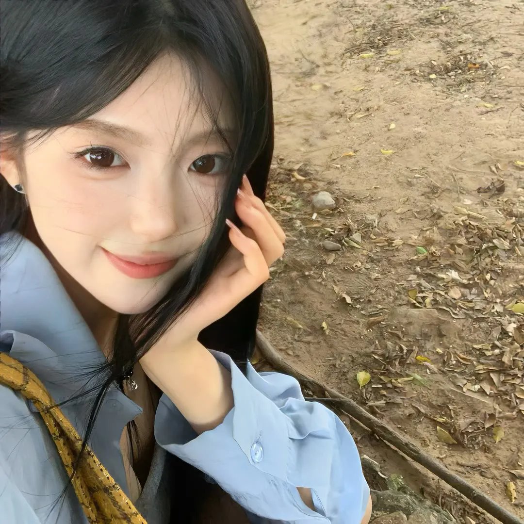 档案风暴